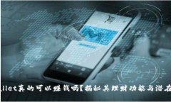 tpWallet真的可以赚钱吗？揭